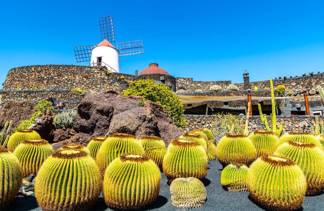Casa Ballena Punta Mujeres Dış mekan fotoğraf